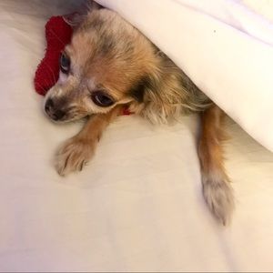 Thanks for visiting my closet 😊